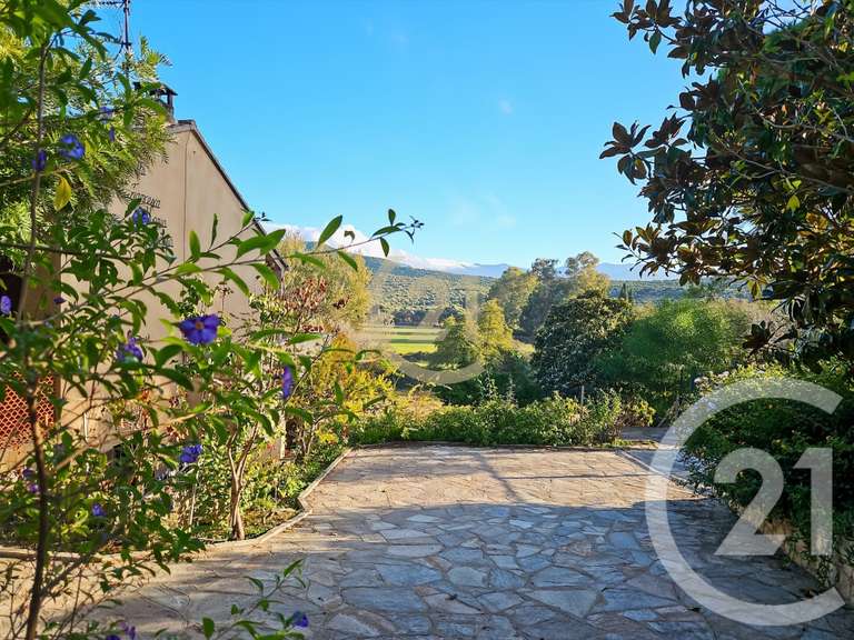 Maison Saint-Florent - 8 chambres - 272m²