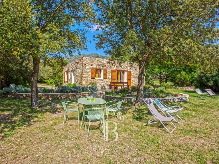 Villa Saint-Florent - 8 chambres - 270m²
