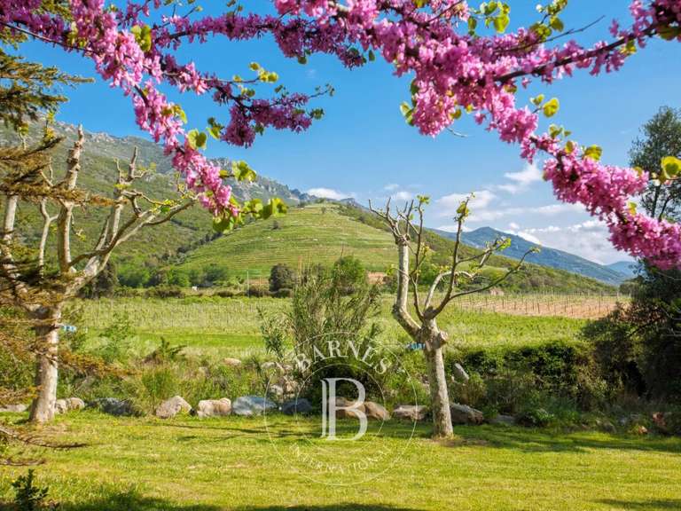 Villa Saint-Florent - 8 chambres - 270m²