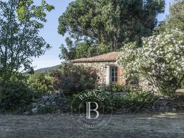 Villa Saint-Florent - 8 chambres - 270m²