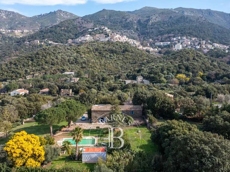 Villa Saint-Florent - 5 chambres - 306m²