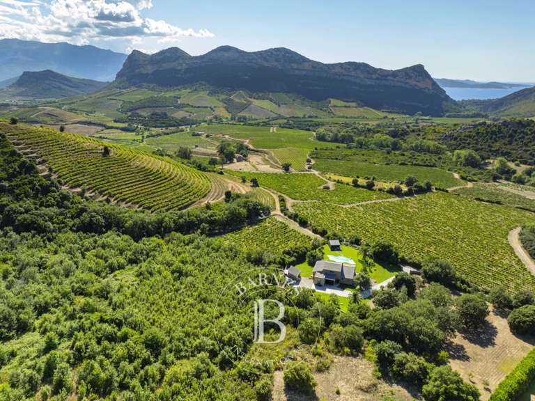 Villa Saint-Florent - 4 chambres - 220m²