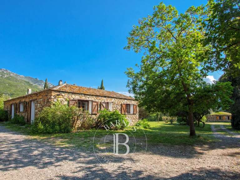 Villa Saint-Florent - 8 chambres - 270m²