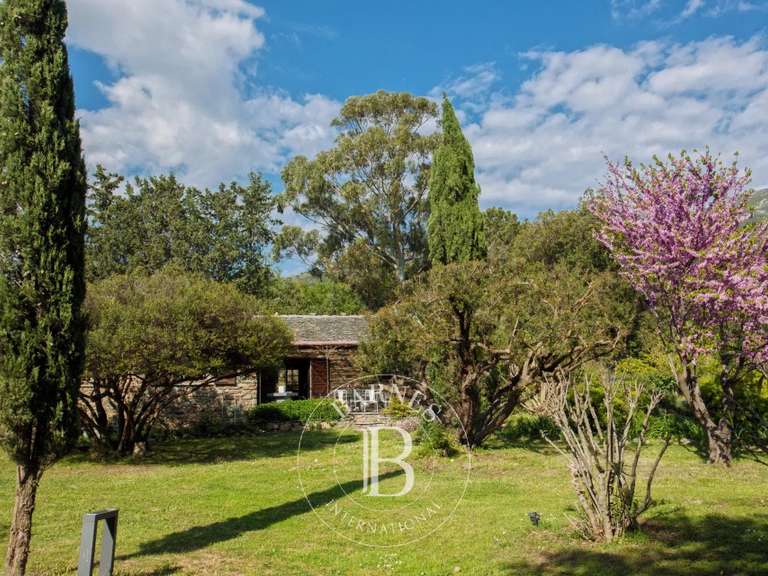 Villa Saint-Florent - 8 chambres - 270m²