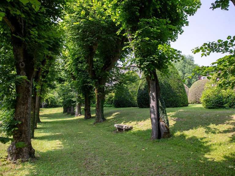 Château Saint-Galmier - 7 chambres - 430m²