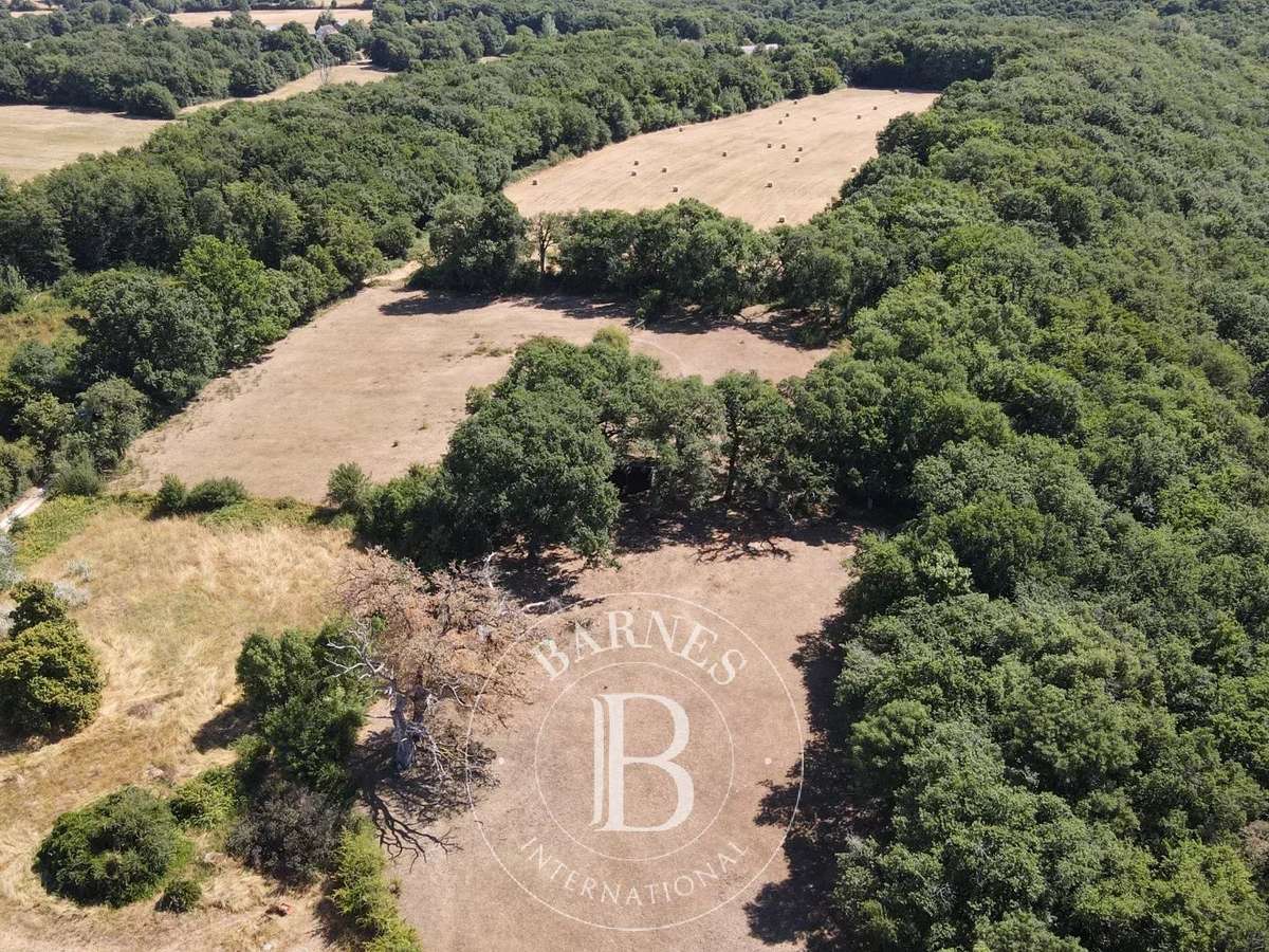 Castle Saint-Gaultier