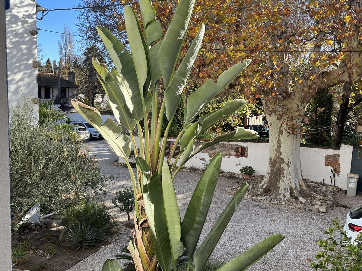Maison Saint-Génis-des-Fontaines