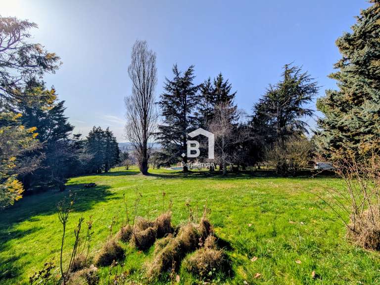 Maison Saint-Georges-d'Espéranche - 7 chambres - 310m²