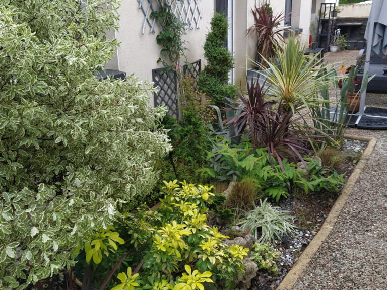 House Saint-Georges-de-Didonne - 4 bedrooms - 190m²