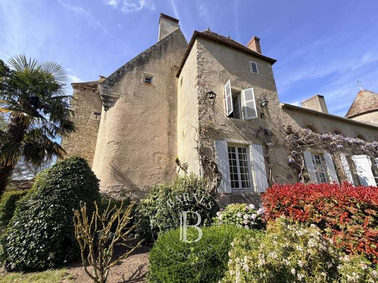 Château Saint-Georges-de-Poisieux - 8 chambres - 350m²
