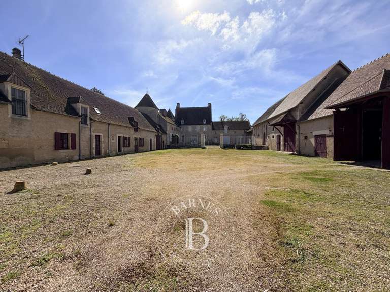 Château Saint-Georges-de-Poisieux - 8 chambres - 350m²