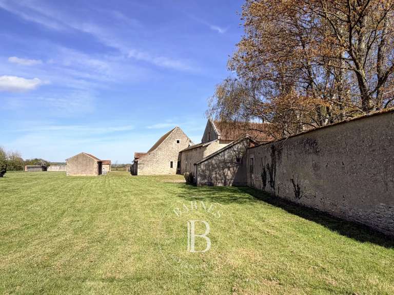 Château Saint-Georges-de-Poisieux - 8 chambres - 350m²