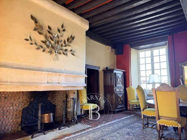 Château Saint-Georges-de-Poisieux - 8 chambres - 350m²