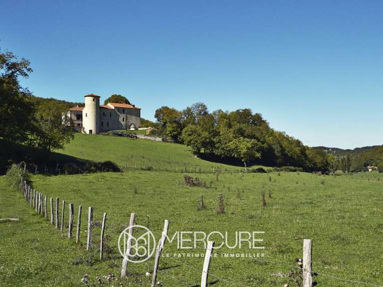 Château Saint-Germain-du-Bel-Air - 8 chambres - 820m²