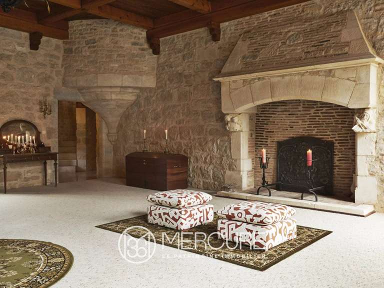 Château Saint-Germain-du-Bel-Air - 8 chambres - 820m²