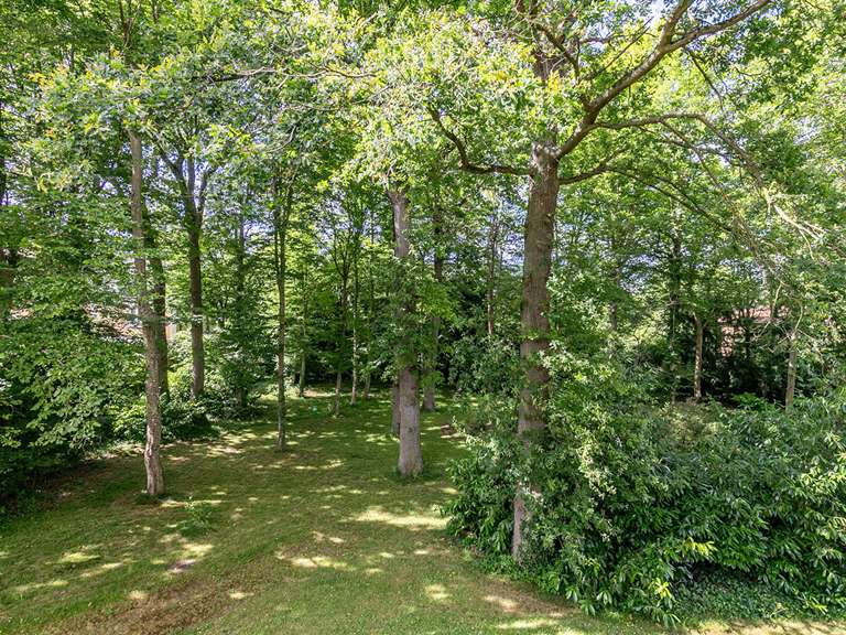 Appartement Saint-Germain-en-Laye - 3 chambres - 134m²