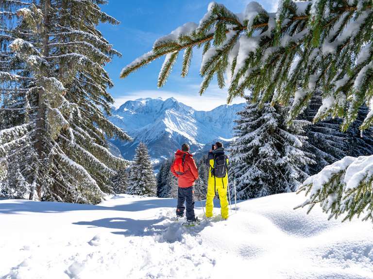 Chalet Saint-Gervais-les-Bains - 4 chambres - 210m²
