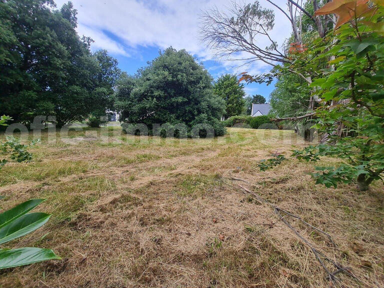 Sale Land Saint-Gildas-de-Rhuys