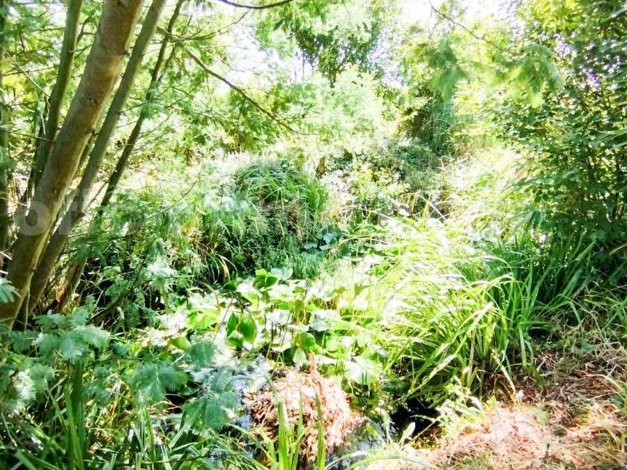 Villa Saint-Gildas-de-Rhuys