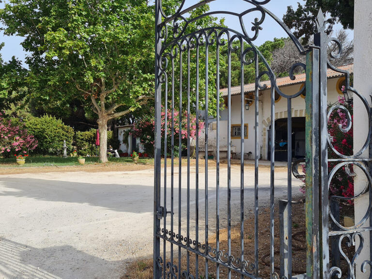 Vente Maison Saint-Gilles - 5 chambres