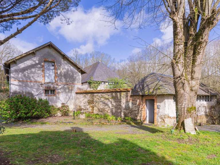 Castle Saint-Gilles-Croix-de-Vie - 9 bedrooms