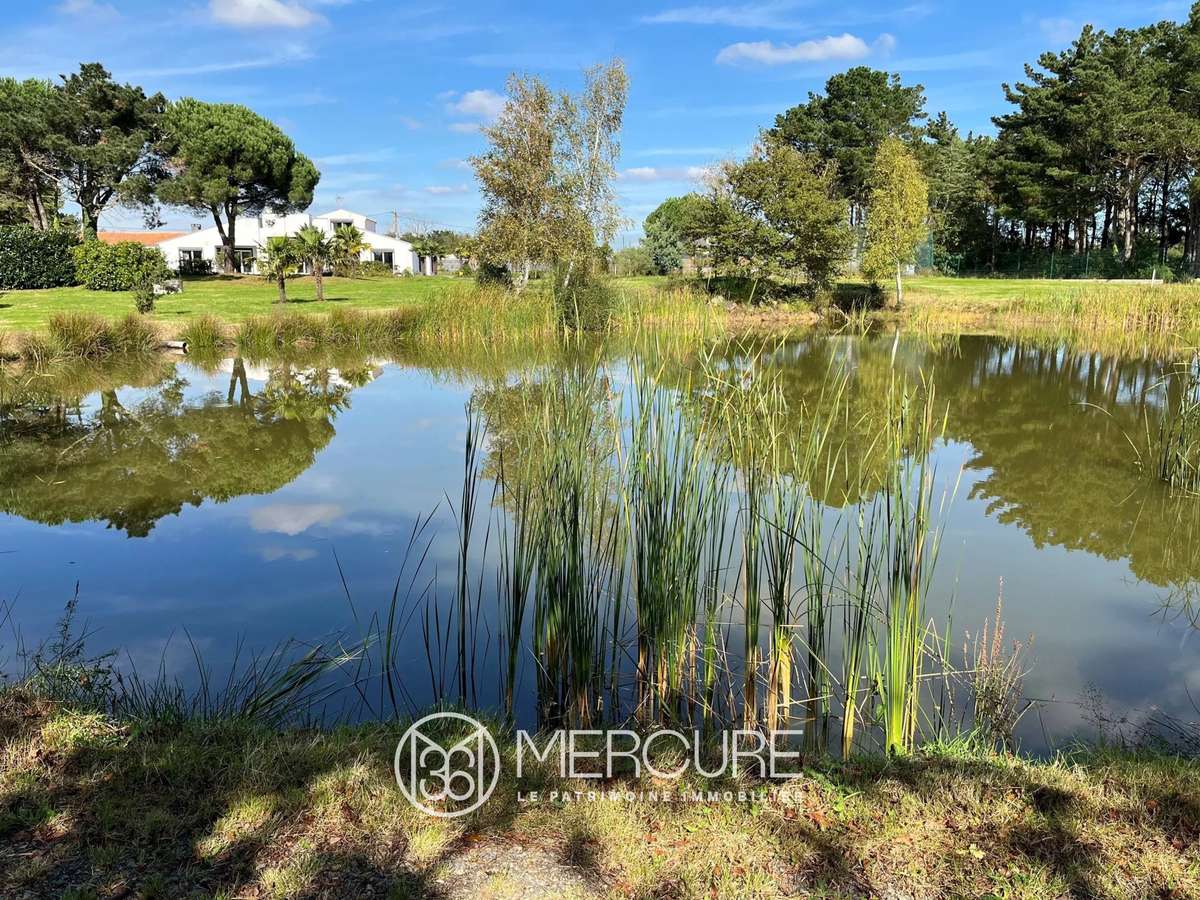 Propriété Saint-Gilles-Croix-de-Vie