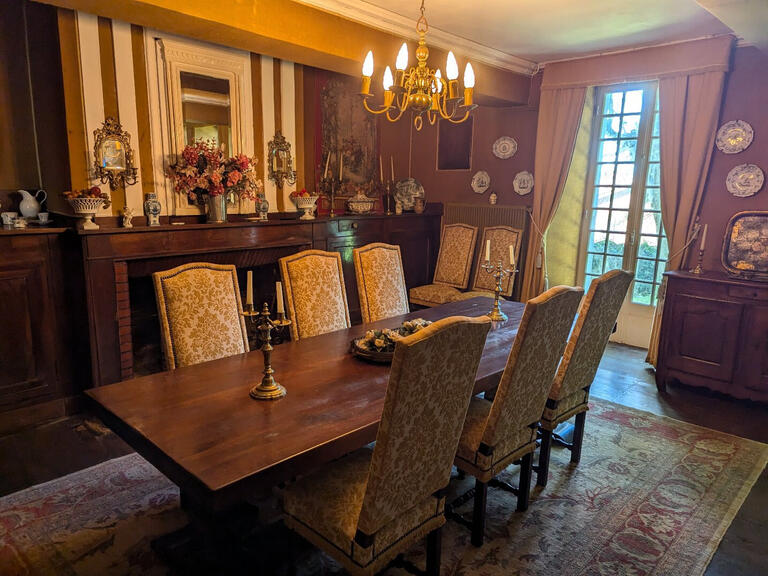 Manor Saint-Girons - 8 bedrooms - 410m²