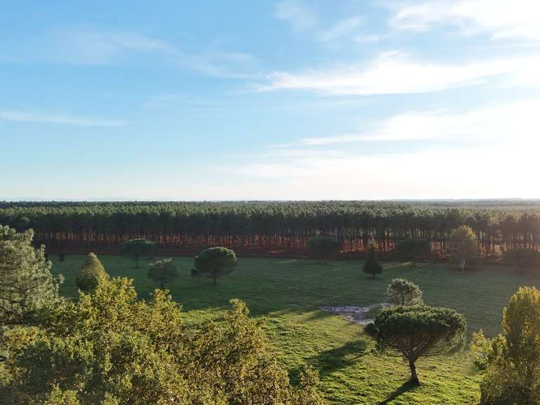 Maison Saint-girons-plage - 7 chambres - 392m²