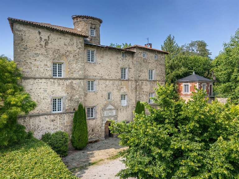 Castle Saint-Héand - 7 bedrooms - 430m²
