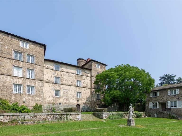 Castle Saint-Héand - 7 bedrooms - 430m²
