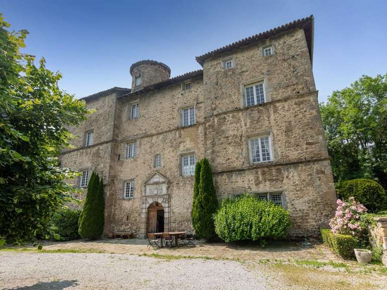 Castle Saint-Héand - 7 bedrooms - 430m²