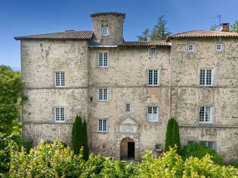 Castle Saint-Héand - 7 bedrooms - 430m²