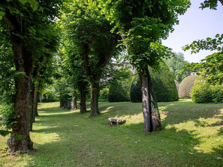Castle Saint-Héand - 7 bedrooms - 430m²