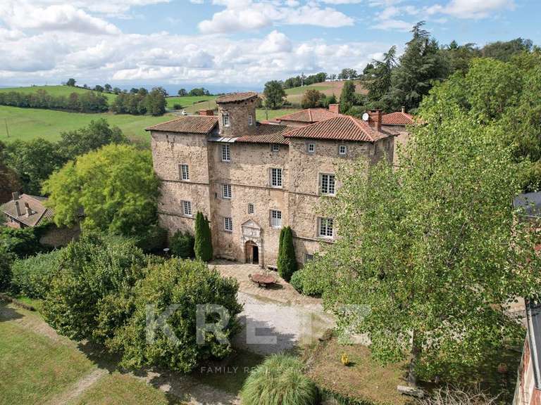 Château Saint-Héand - 7 chambres - 1250m²