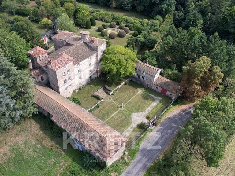 Château Saint-Héand - 7 chambres - 1250m²