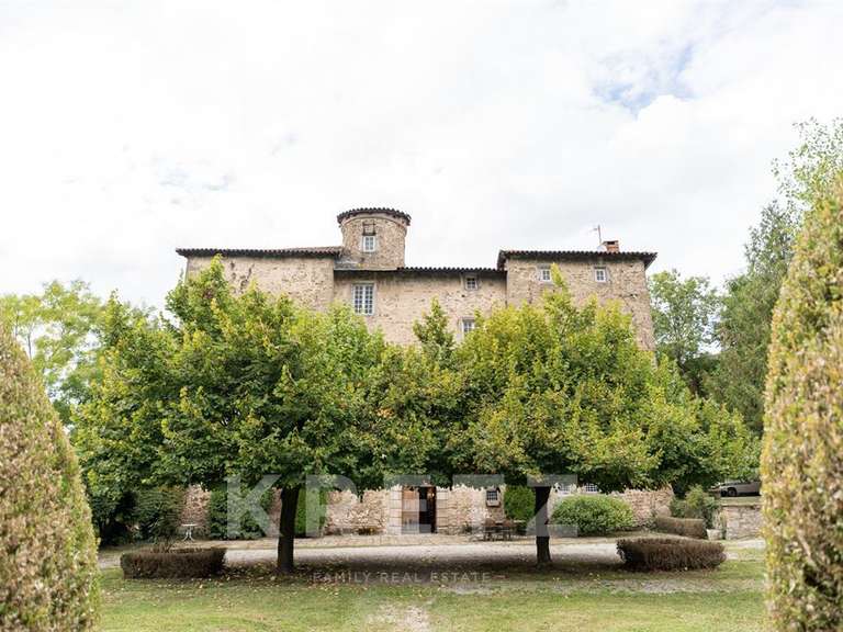 Château Saint-Héand - 7 chambres - 1250m²