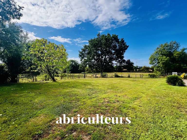 Maison Saint-Hilaire-de-Chaléons - 4 chambres - 188m²
