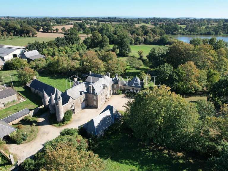 Manoir Saint-Hilaire-du-Harcouët - 6 chambres - 510m²