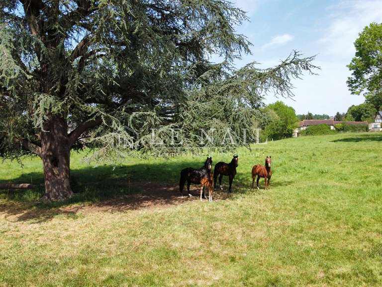 Manoir Saint-Hilaire-du-Harcouët - 8 chambres - 350m²