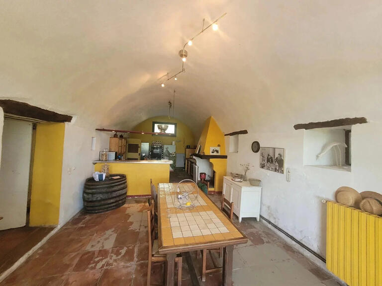 House Saint-Hippolyte-du-Fort - 6 bedrooms - 370m²