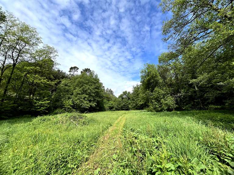 Moulin Saint-Hippolyte-du-Fort - 14 chambres - 550m²