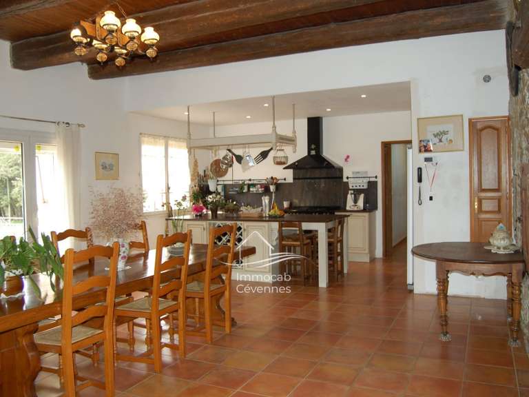 Villa Saint-Hippolyte-du-Fort - 7 chambres - 315m²
