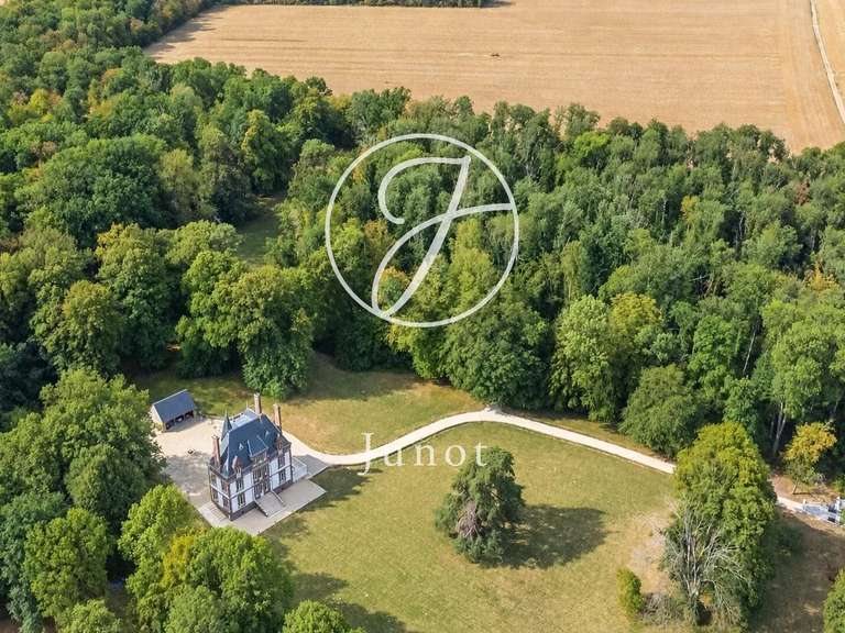 Château Saint-Illiers-la-Ville - 7 chambres - 407m²