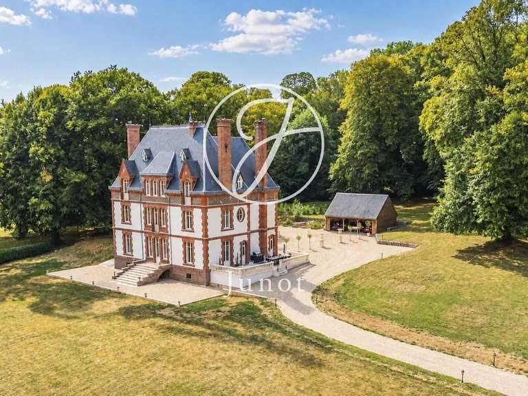 Château Saint-Illiers-la-Ville - 7 chambres - 407m²