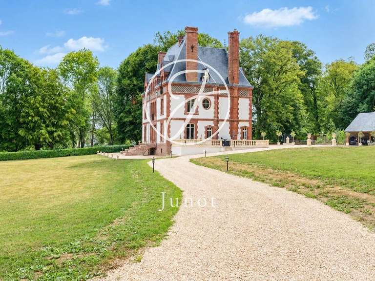 Château Saint-Illiers-la-Ville - 7 chambres - 407m²