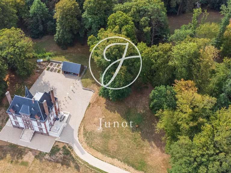 Château Saint-Illiers-la-Ville - 7 chambres - 407m²