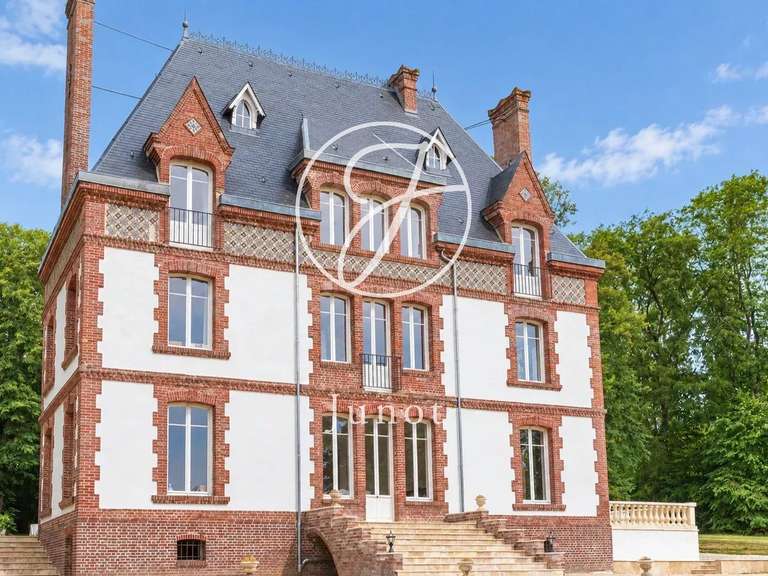 Château Saint-Illiers-la-Ville - 7 chambres - 407m²