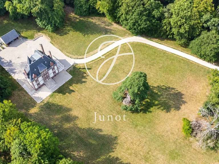 Château Saint-Illiers-la-Ville - 7 chambres - 407m²