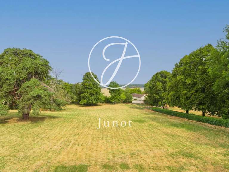 Château Saint-Illiers-la-Ville - 7 chambres - 407m²
