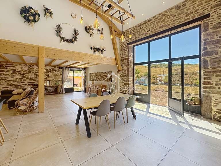 Maison Saint-Izaire - 4 chambres - 252m²